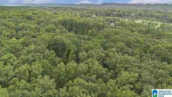 4.7 Acres of Land for Sale in Birmingham, Alabama