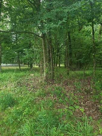 0.25 Acres of Residential Land for Sale in Hot Springs, Arkansas