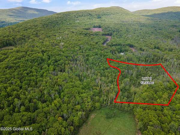 5.42 Acres of Residential Land for Sale in Windham, New York