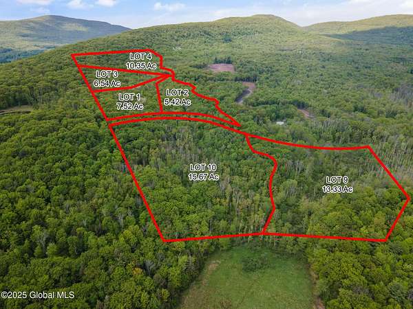 13.3 Acres of Land for Sale in Windham, New York