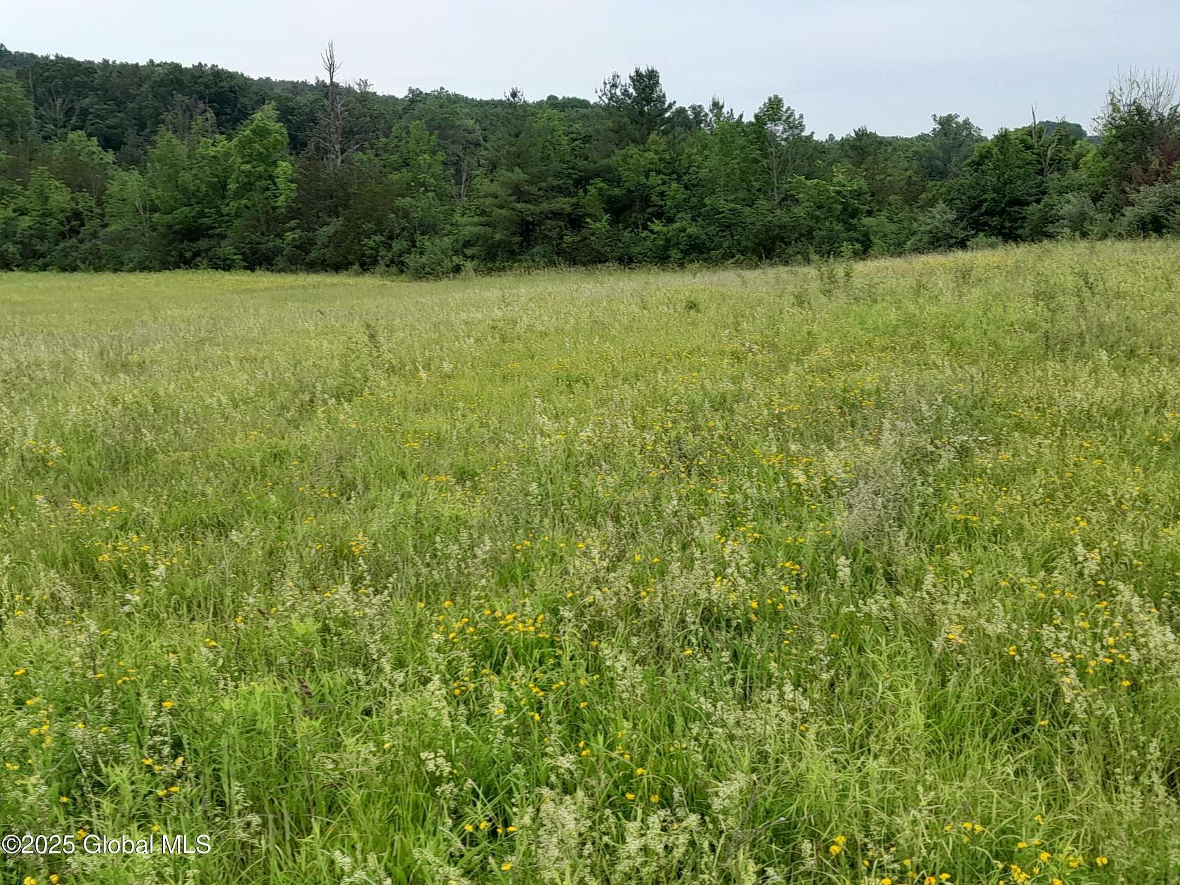 3 Acres of Residential Land for Sale in West Coxsackie, New York