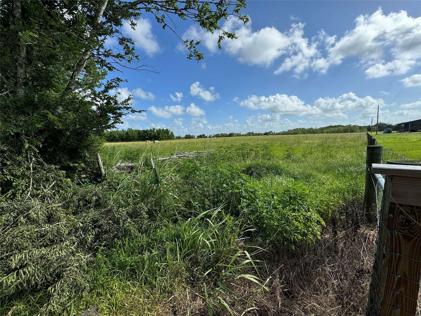 19 Acres of Land for Sale in Danbury, Texas