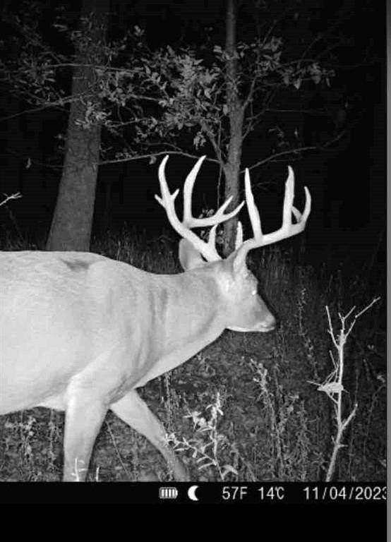 29.6 Acres of Recreational Land for Sale in Honey Grove, Texas