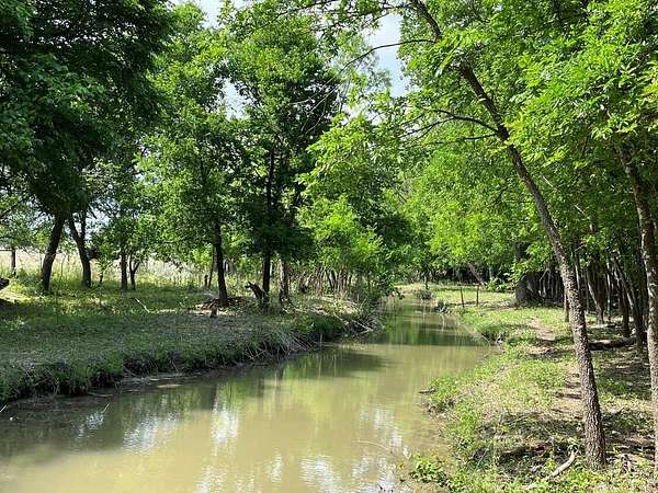 521 Acres of Agricultural Land for Sale in Oglesby, Texas