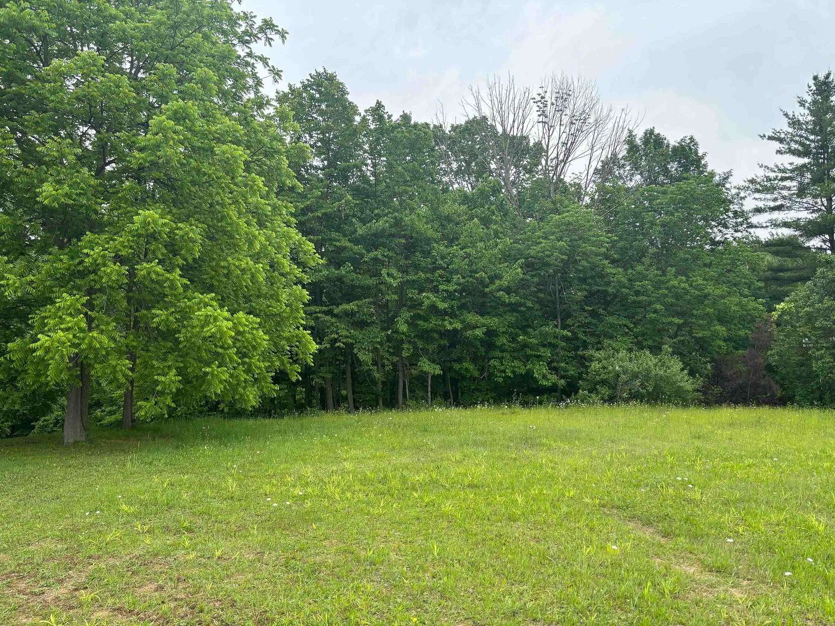 0.29 Acres of Residential Land for Sale in Beaverton, Michigan