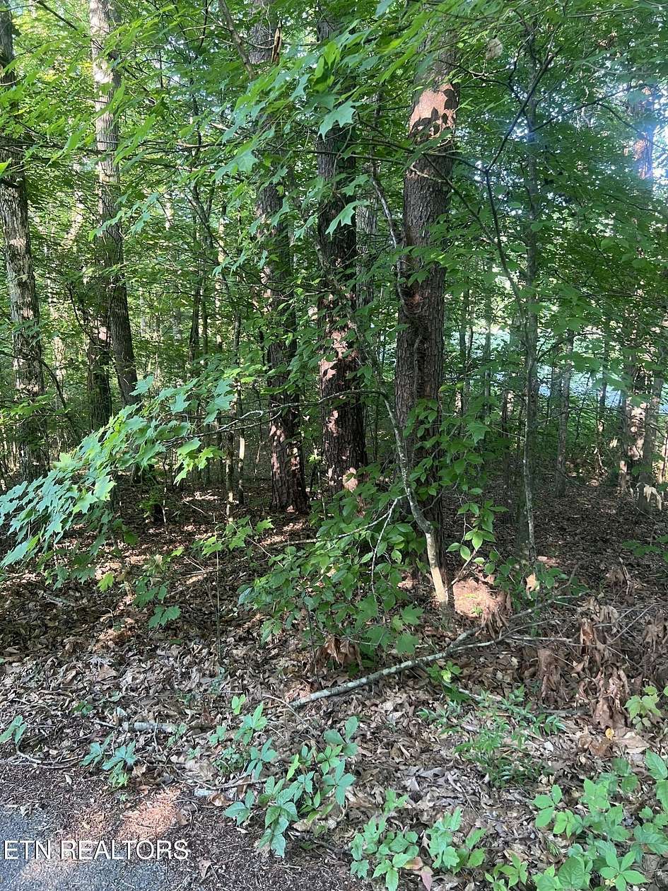 5 Acres of Residential Land for Sale in Knoxville, Tennessee