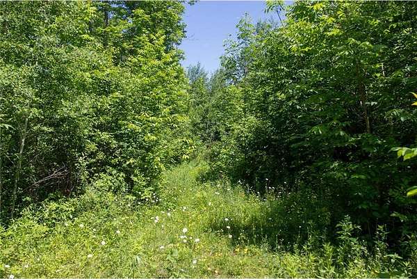 3.27 Acres of Residential Land for Sale in Moose Lake Township, Minnesota