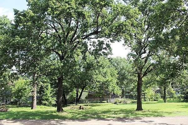 0.13 Acres of Land for Sale in Gun Barrel City, Texas