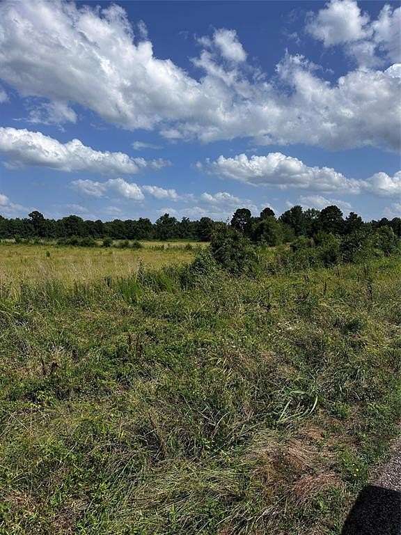 44 Acres of Agricultural & Residential Land for Sale in Daingerfield, Texas