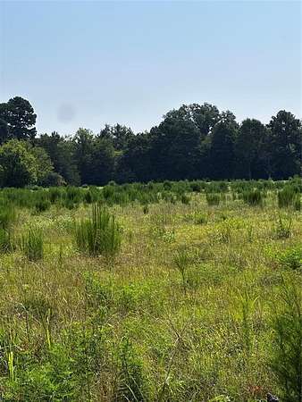 44 Acres of Agricultural Land for Sale in Daingerfield, Texas