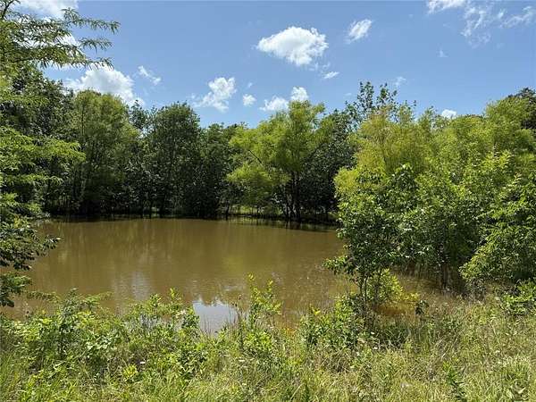 29.7 Acres of Agricultural Land for Sale in Cooper, Texas