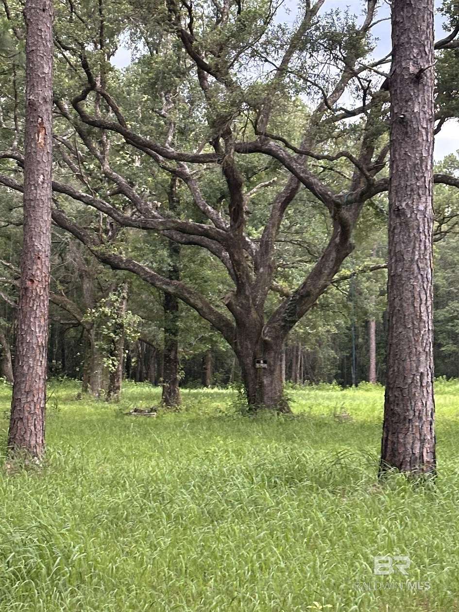 2.7 Acres of Residential Land for Sale in Axis, Alabama