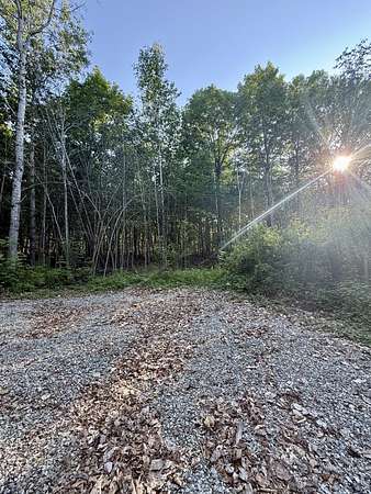 41.8 Acres of Recreational Land for Sale in Otis, Maine