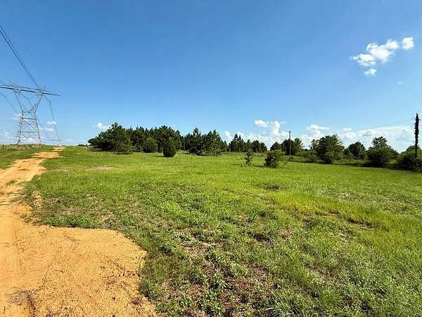 5 Acres of Land for Sale in Newville, Alabama