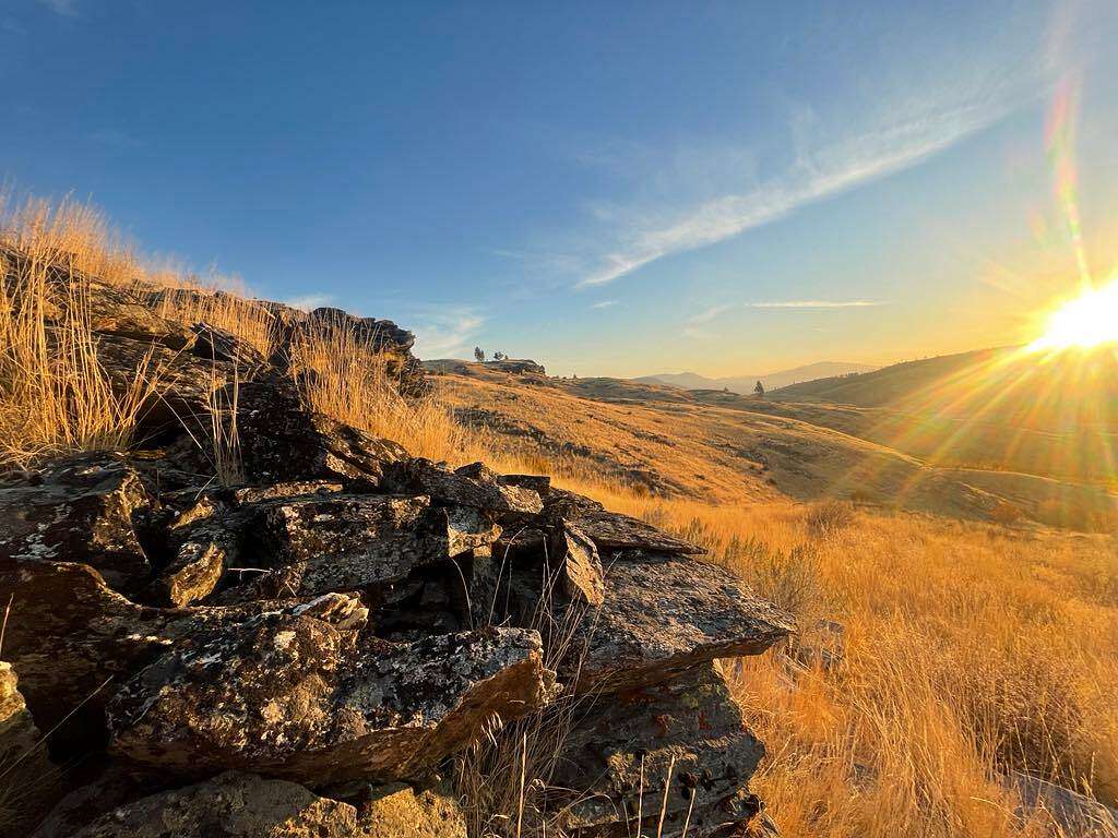 20 Acres of Recreational Land for Sale in Tonasket, Washington