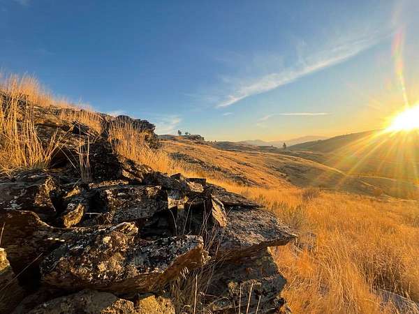 20 Acres of Recreational Land for Sale in Tonasket, Washington