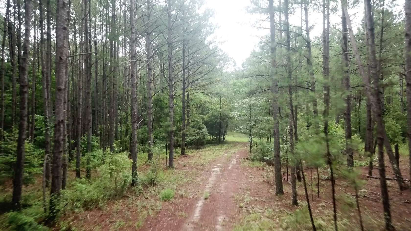 18.5 Acres of Recreational Land for Sale in Lizella, Georgia