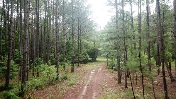 18.5 Acres of Recreational Land for Sale in Lizella, Georgia