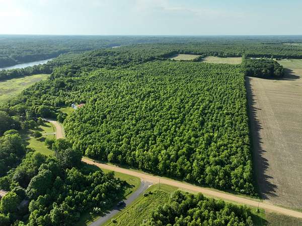 60 Acres of Land for Sale in Berrien Springs, Michigan