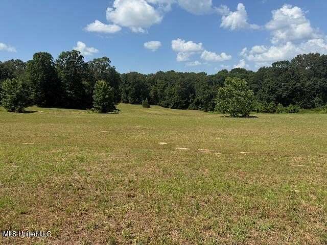 25 Acres of Recreational Land for Sale in Holly Springs, Mississippi