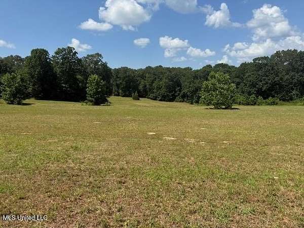 25 Acres of Recreational Land for Sale in Holly Springs, Mississippi
