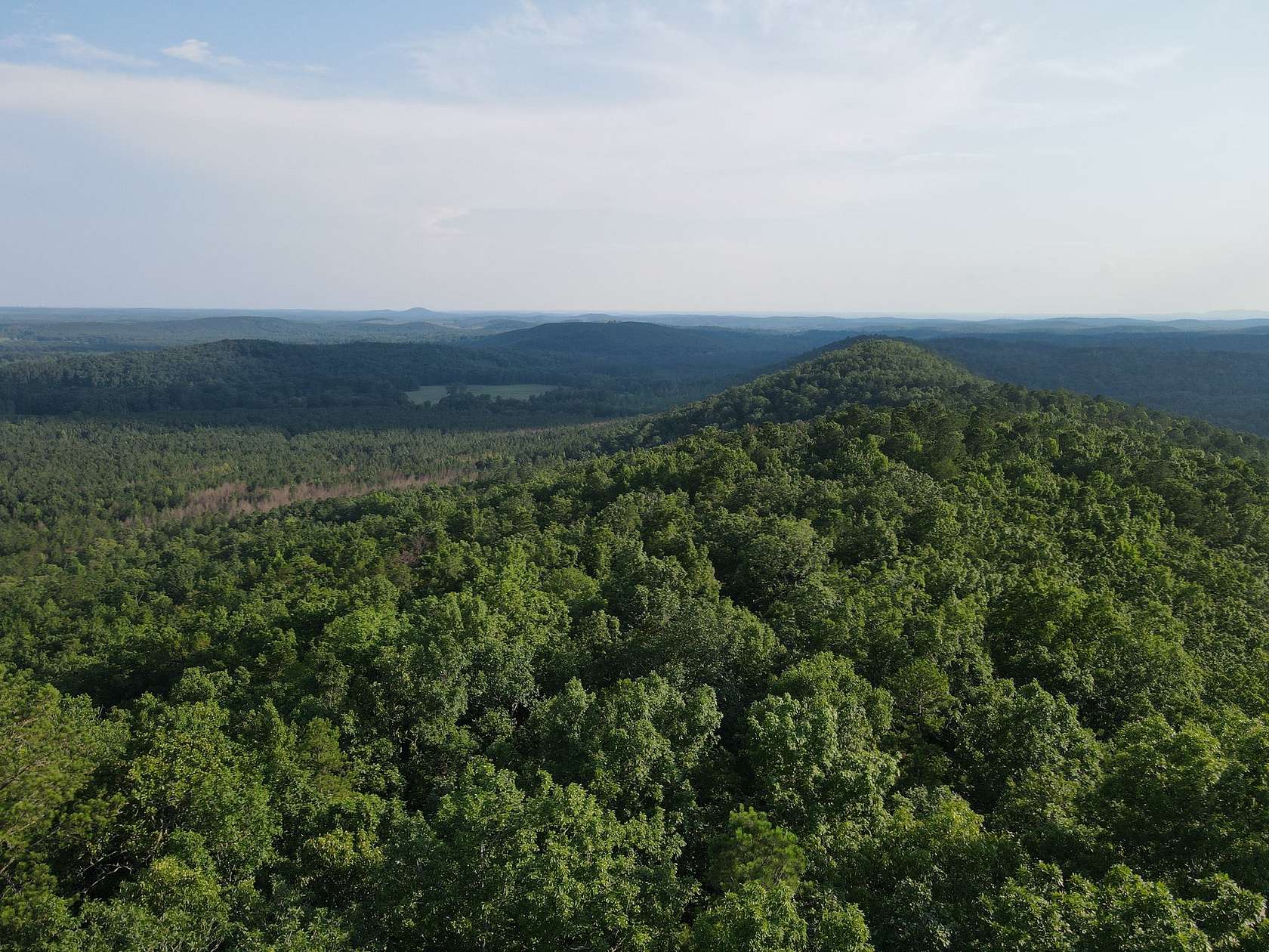 80 Acres of Recreational Land for Sale in Ashland, Alabama