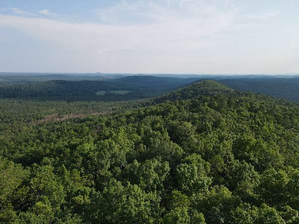 80 Acres of Recreational Land for Sale in Ashland, Alabama