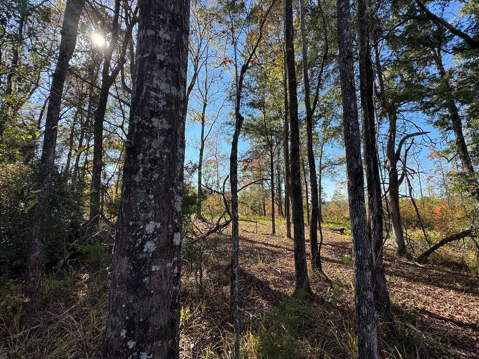 12.2 Acres of Land for Sale in Camp Hill, Alabama