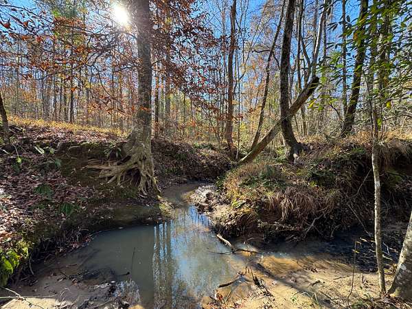 12.2 Acres of Land for Sale in Camp Hill, Alabama