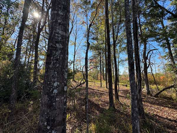 12.2 Acres of Land for Sale in Camp Hill, Alabama