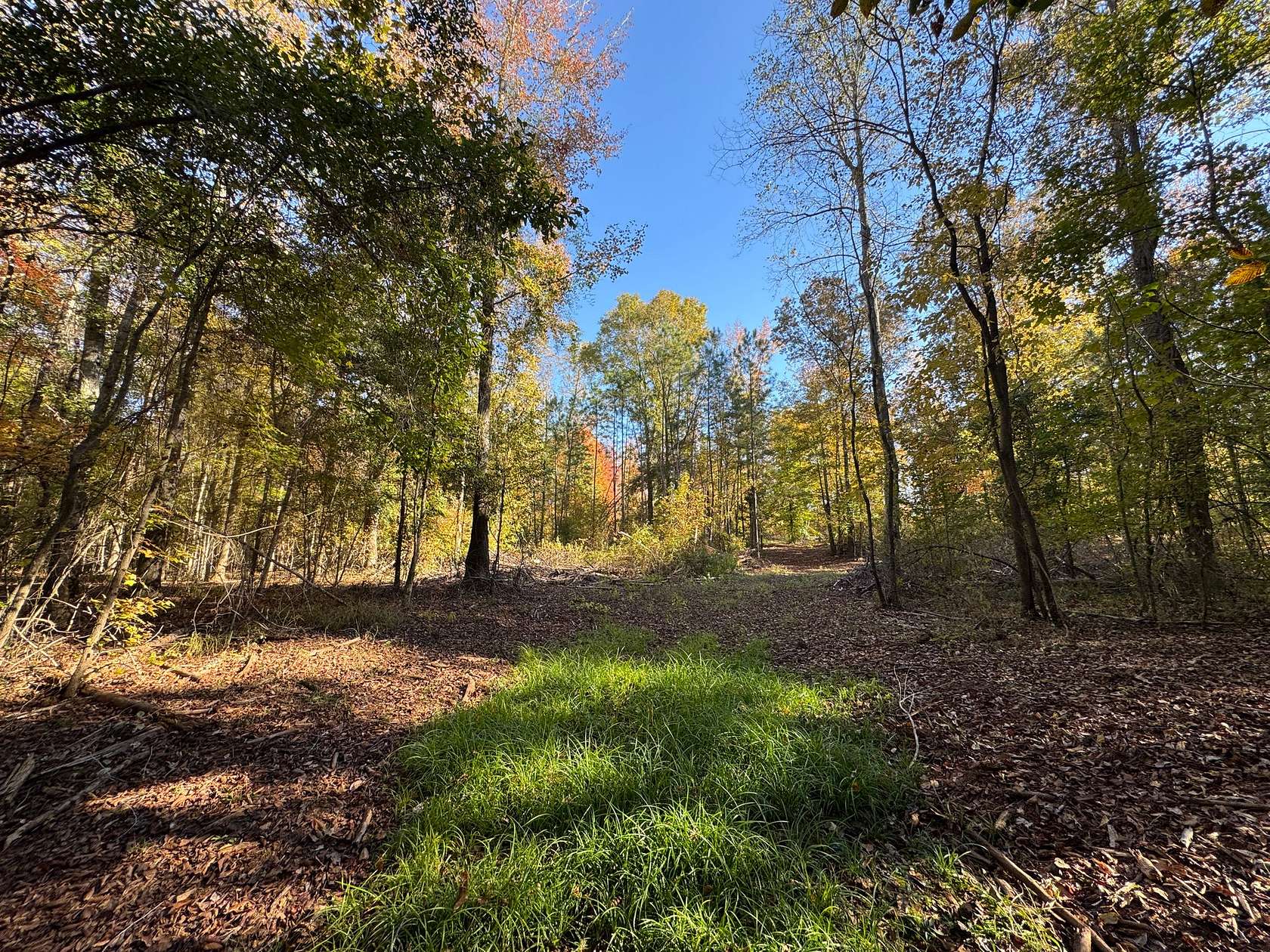 11.3 Acres of Land for Sale in Camp Hill, Alabama