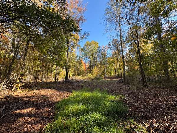 11.3 Acres of Land for Sale in Camp Hill, Alabama
