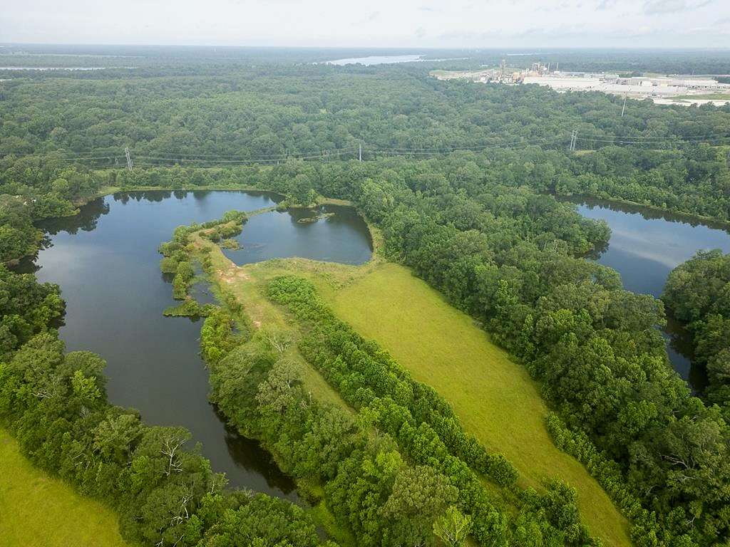 239 Acres of Land for Sale in Zachary, Louisiana