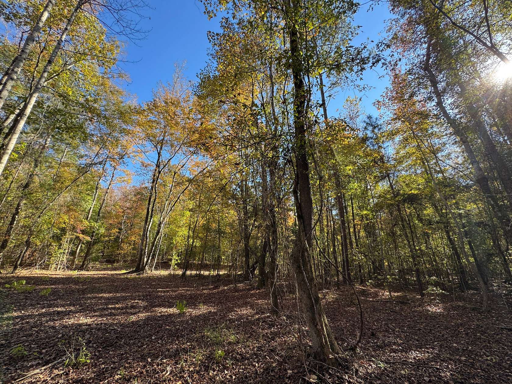 11.4 Acres of Land for Sale in Camp Hill, Alabama