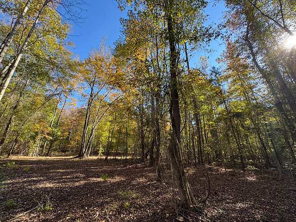 11.4 Acres of Land for Sale in Camp Hill, Alabama