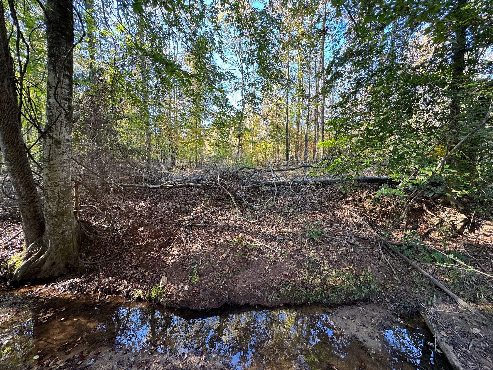 19.4 Acres of Land for Sale in Camp Hill, Alabama