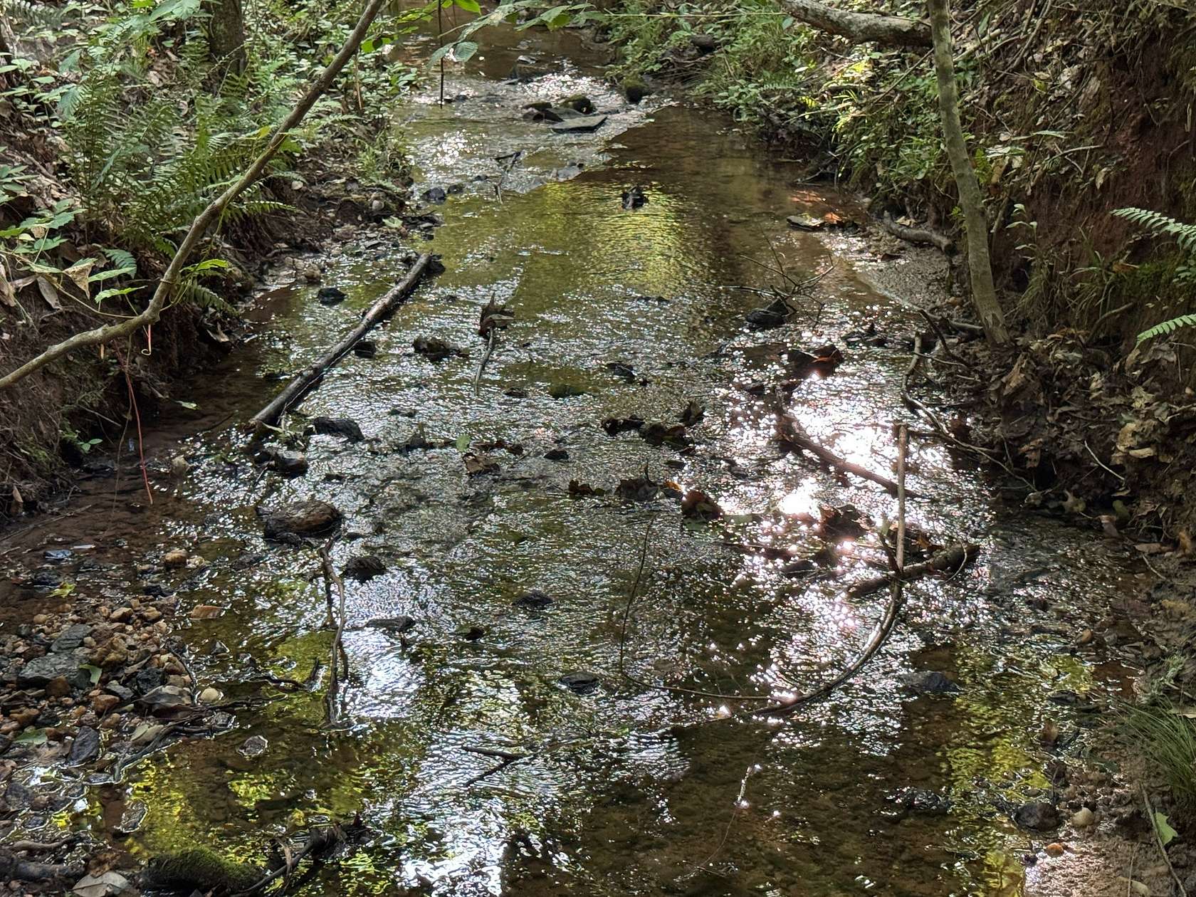 19.4 Acres of Land for Sale in Camp Hill, Alabama