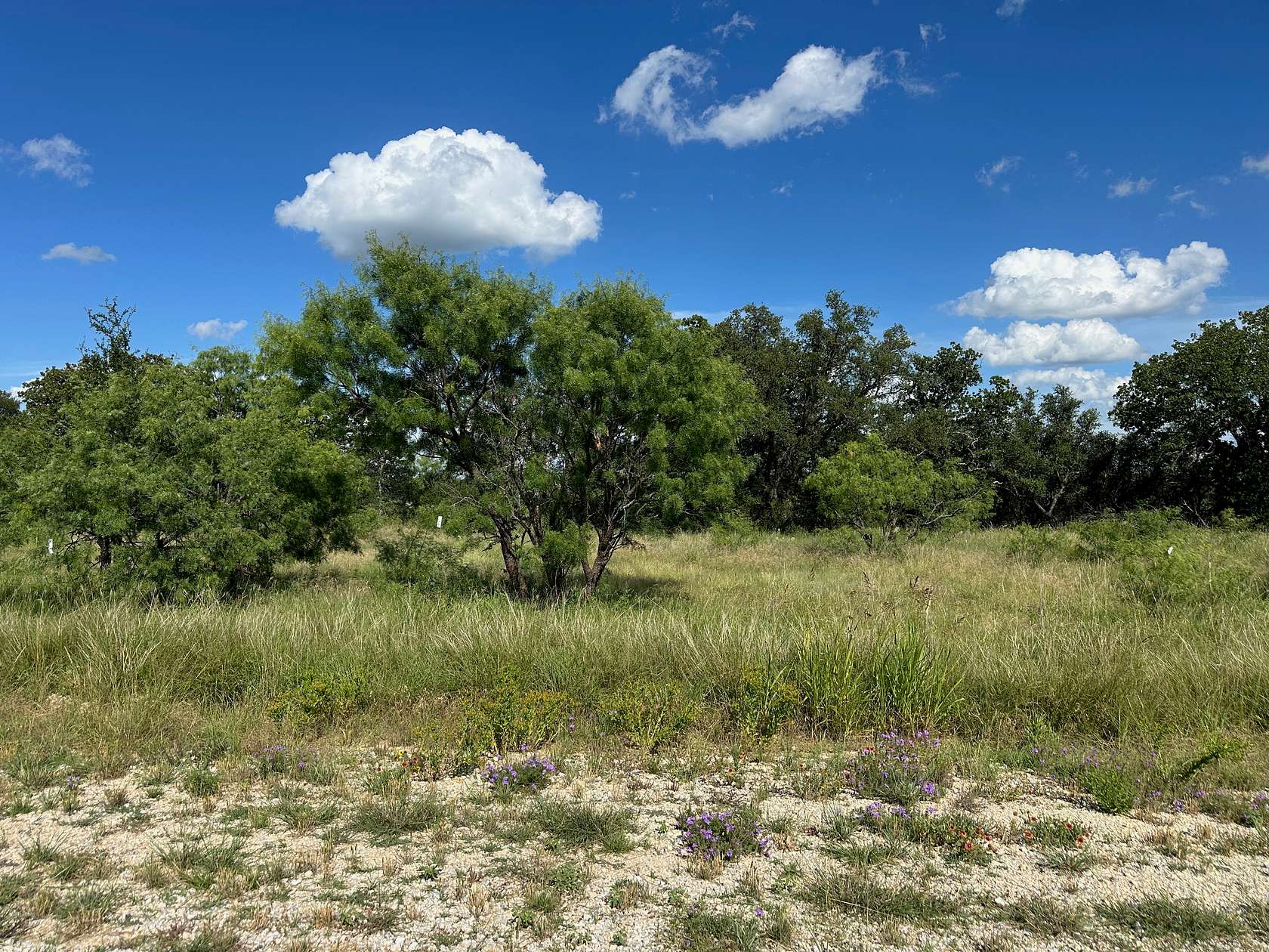 0.45 Acres of Residential Land for Sale in Brownwood, Texas