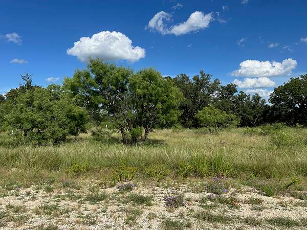 0.45 Acres of Residential Land for Sale in Brownwood, Texas