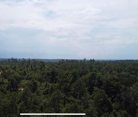 1.25 Acres of Residential Land for Sale in Alford, Florida