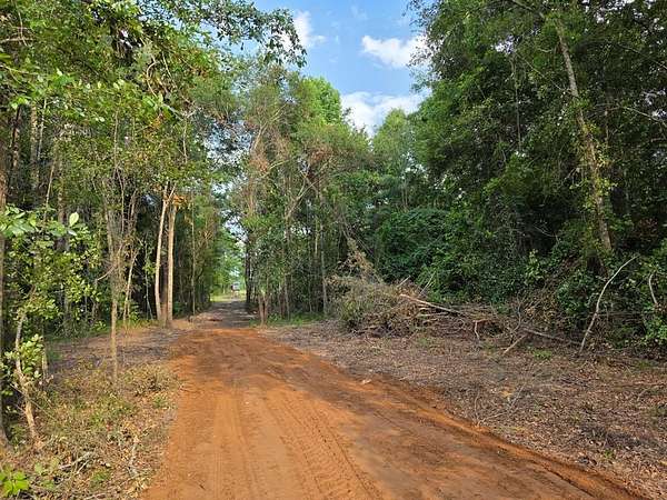 10 Acres of Land for Sale in Cedar Springs, Georgia