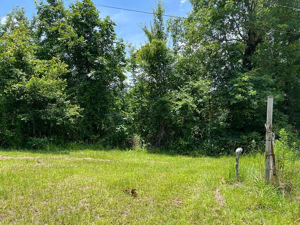 10 Acres of Agricultural Land for Sale in Quinton, Alabama