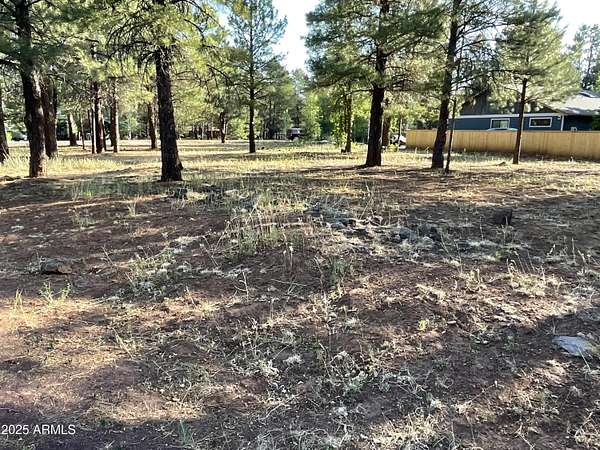 0.52 Acres of Residential Land for Sale in Pinetop, Arizona