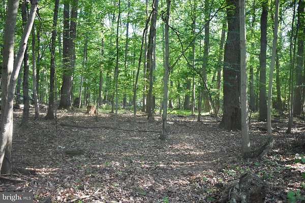 19.2 Acres of Land for Sale in Sparks, Maryland