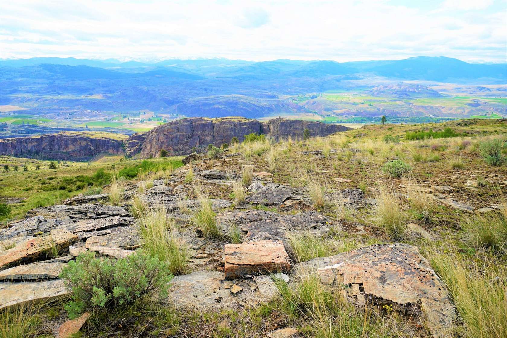 20 Acres of Recreational Land for Sale in Tonasket, Washington