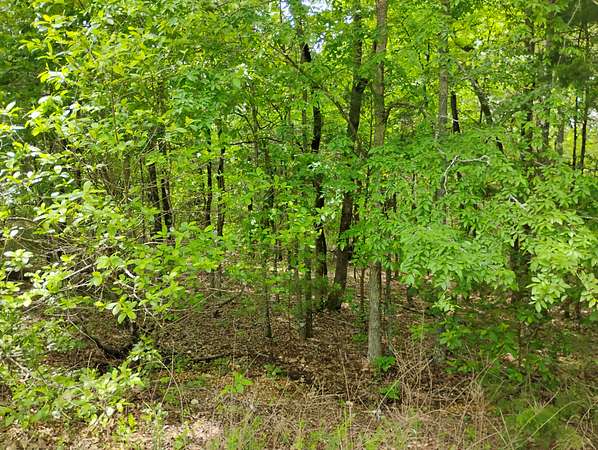 0.55 Acres of Residential Land for Sale in Sharp, Arkansas