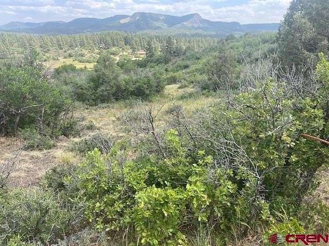 1.1 Acres of Residential Land for Sale in Pagosa Springs, Colorado
