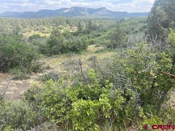 1.1 Acres of Residential Land for Sale in Pagosa Springs, Colorado