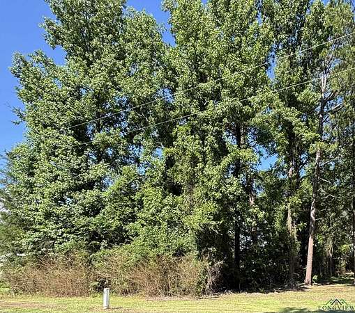 0.34 Acres of Residential Land for Sale in Pittsburg, Texas