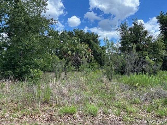 0.14 Acres of Residential Land for Sale in Hernando, Florida